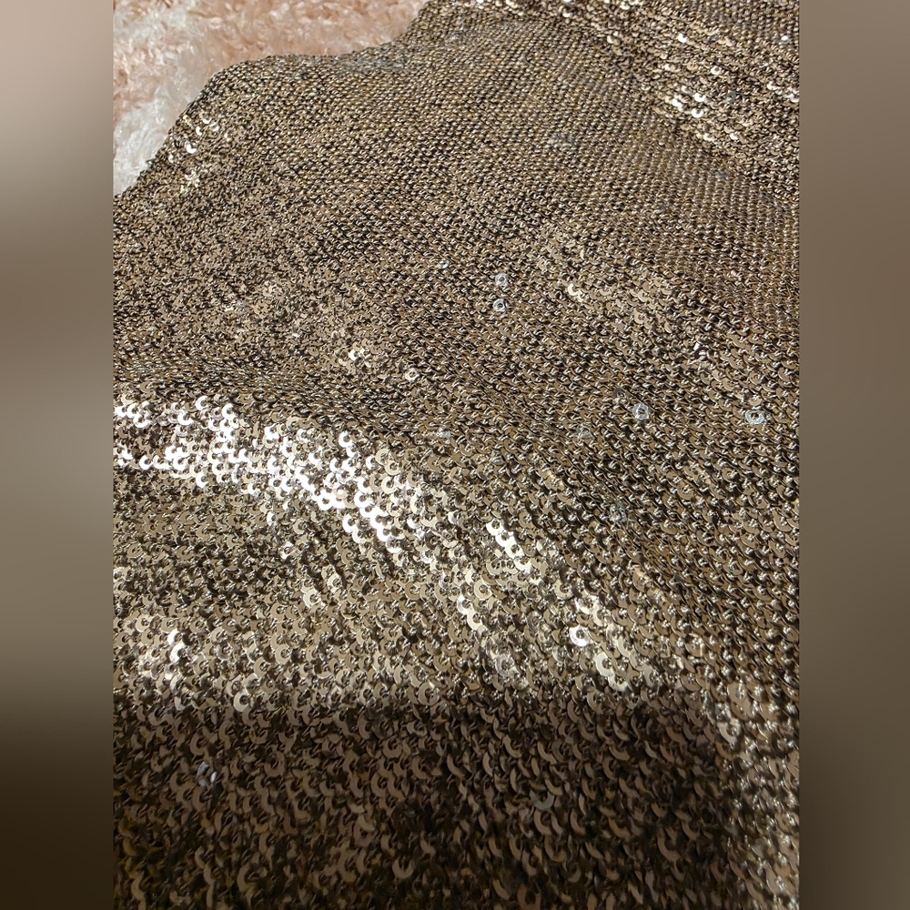 Line & Dot Gold Sequin Maxi Skirt - Picture 3 of 6